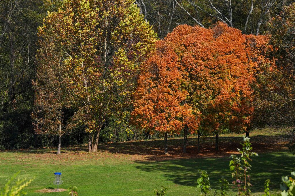 A Maze of Mayhem and Meaning - Golfer Insight A Maze of Mayhem and Meaning