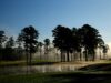 Explore The Top 10 Golf Courses in the U.S Explore The Top 10 Golf Courses in the U.S